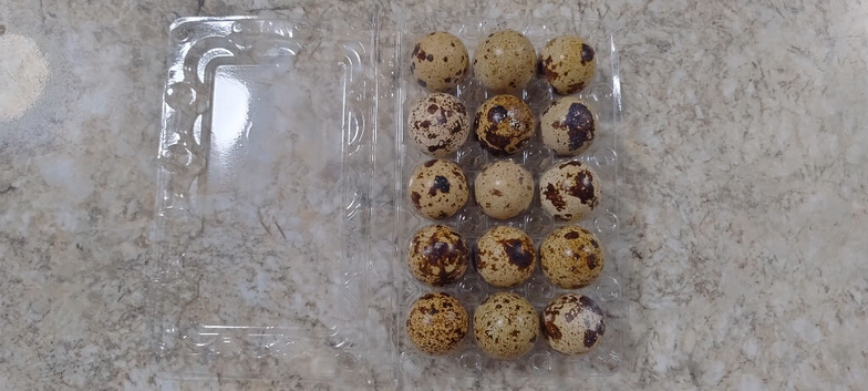 Jumbo Japanese Coturnix Quail Eggs