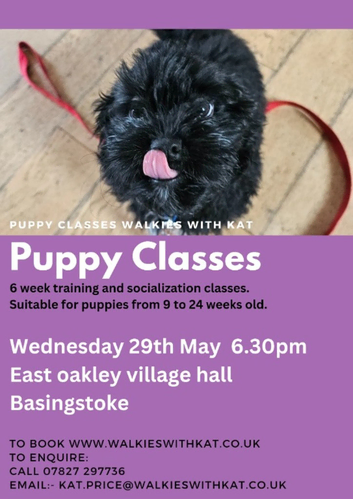 Puppy classes