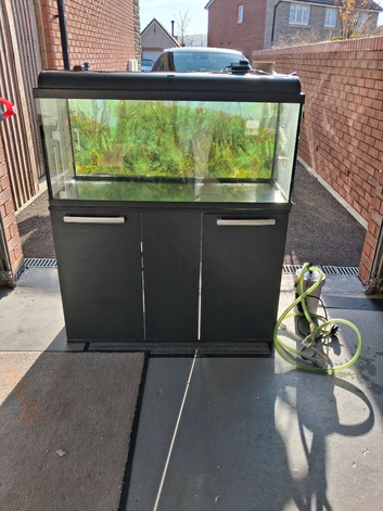 Fish tank