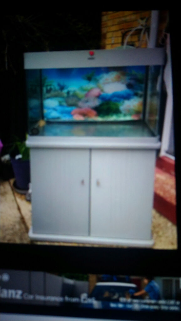 Aquarium with cabinet