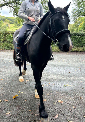 14.3 happy hacker project
