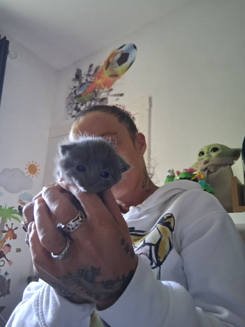 Russian blue babies