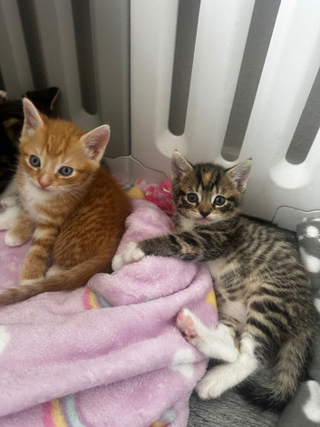 2 little cuties