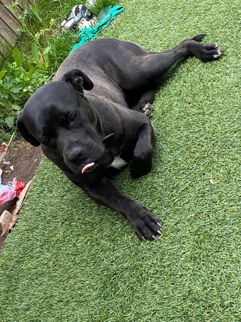 Female 2/3years