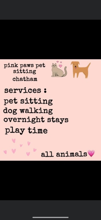 pink paws pet sitting chatham!