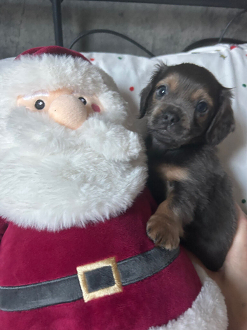 One adorable boy left