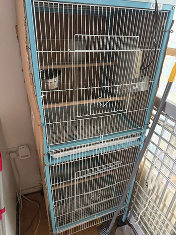 parrot cage
