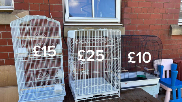 Birds cages for sale