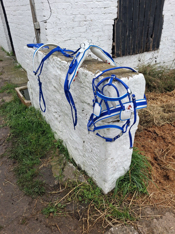 Pony harness
