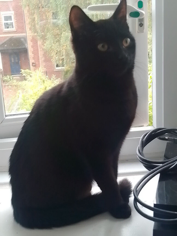 8 months old female