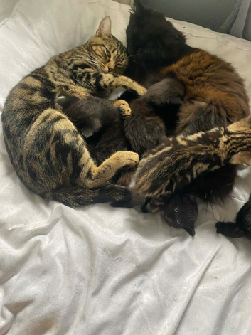 Beautiful baby&rsquo;s