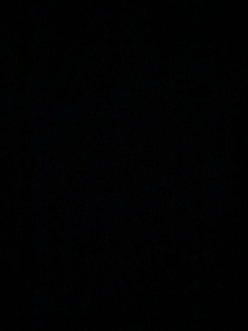 Looking for a PATTERDALE TERRIER