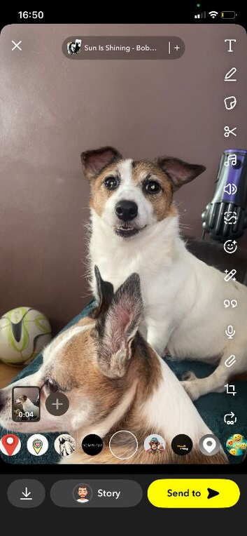 2 boys ready for loving homes