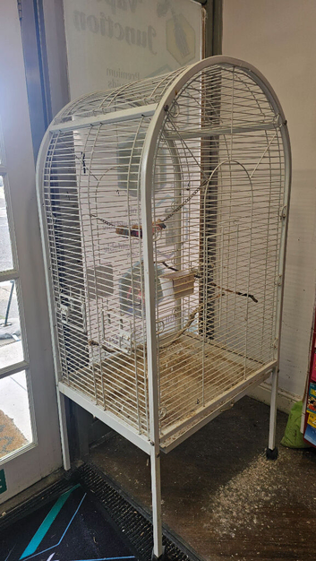 Birds Cage