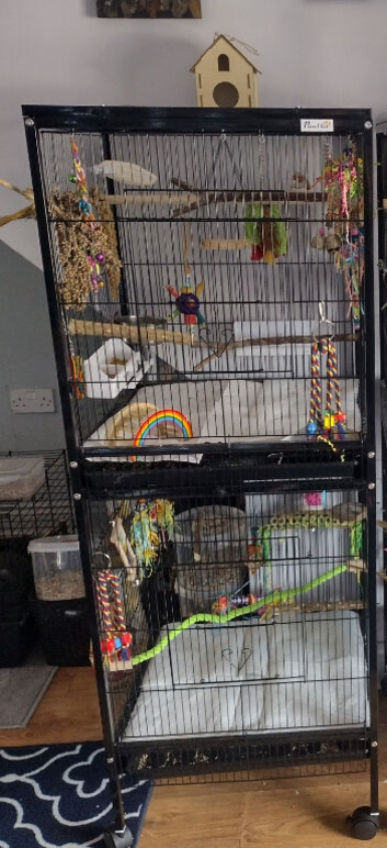 Bird cage large