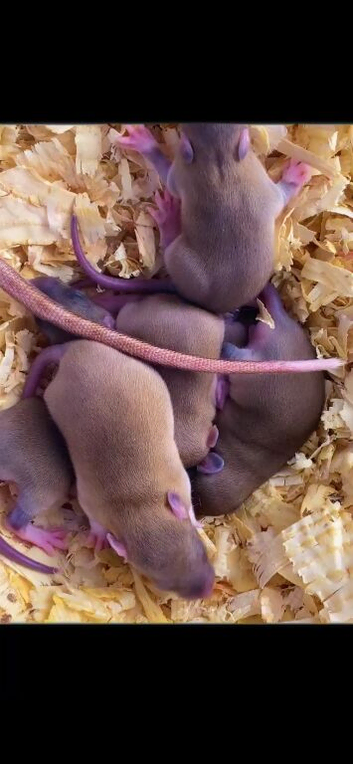 5 beautiful boys