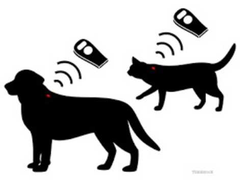 Pet Microchipping