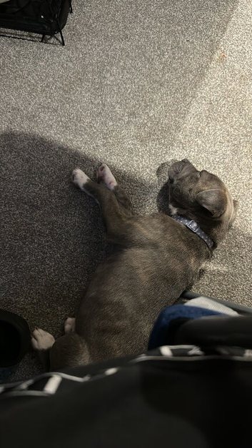 Hi my name is Reggie