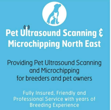 Pet Microchipping and Ultrasound scanning