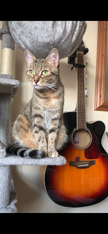 Luna looking for new home
