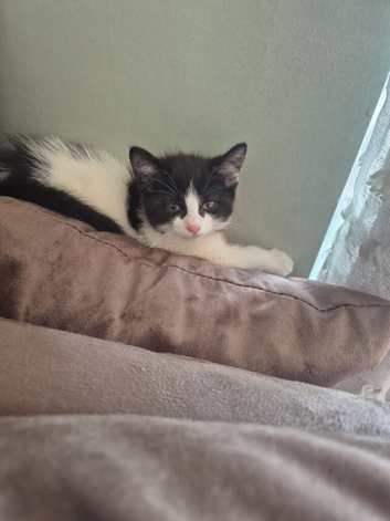 Male black and white