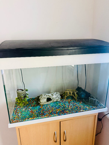 125 litre Fish tank