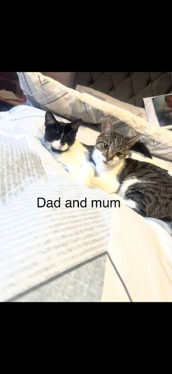 Smudge & Lola