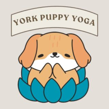 Looking for fun-loving puppies aged 6-8 weeks