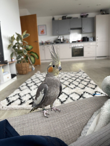 Female ready to go!