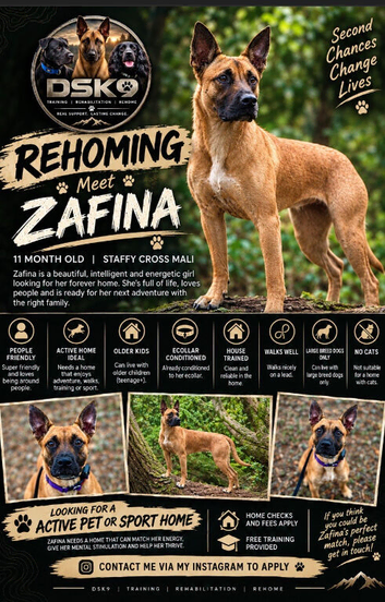 Zafina