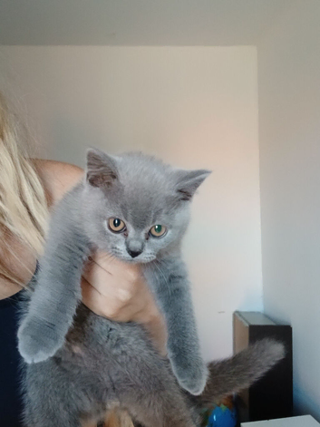 LAST BOY LEFT! READY TO GO ️