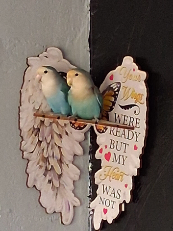 Two love birds and cage