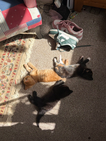 2 boys 1 girl