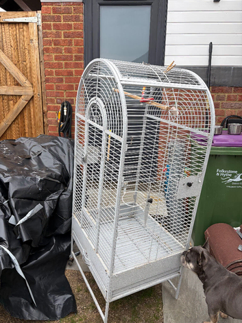 Beautiful birdcage parrot cage for sale