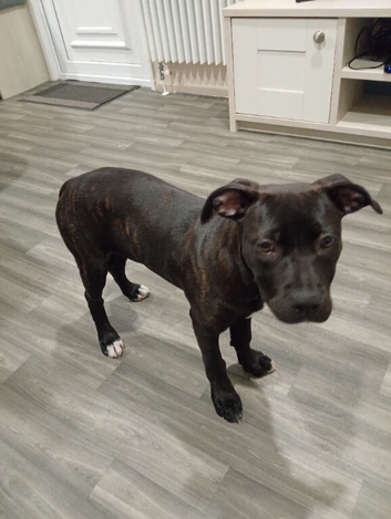 Ellie