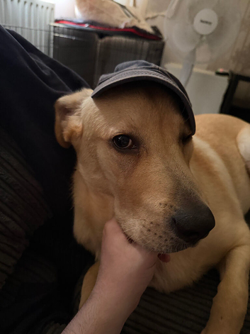 8month lab