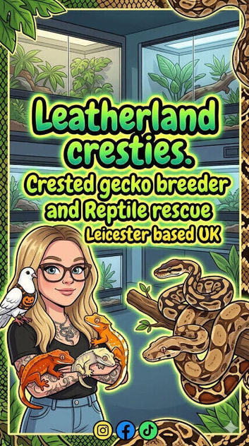 Rescue & rehome