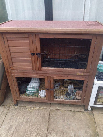 Two tier rabbit hutch and run small animal with removable trays and access