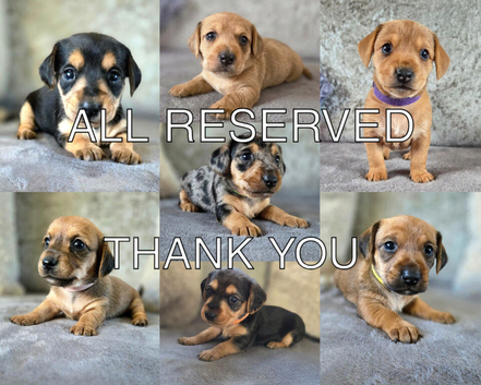 ALL RESERVED, THANK YOU