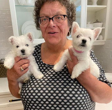 Pink Collar Female & Blue Collar Male