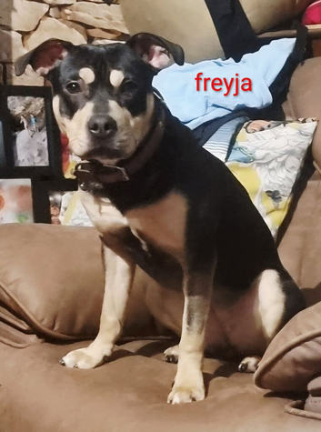 Home needed for young girl