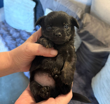 Beautiful babies Only 1 boy left