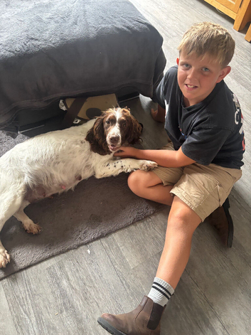 Seeking working homes or loving family homes