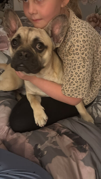 Frug sandy