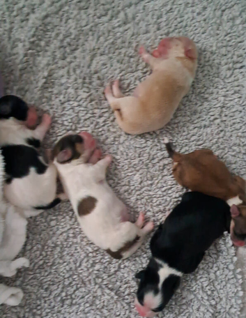 Ready in 7 weeks. ALL RESERVED
