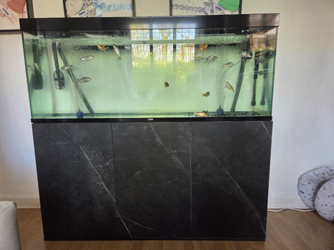 5FT Fish Tank full set up