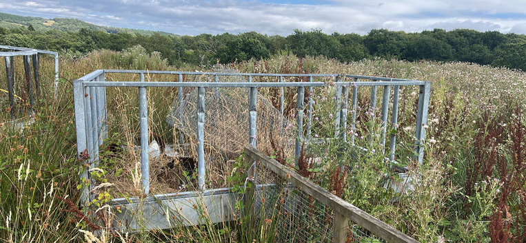 Metal cattle feeders