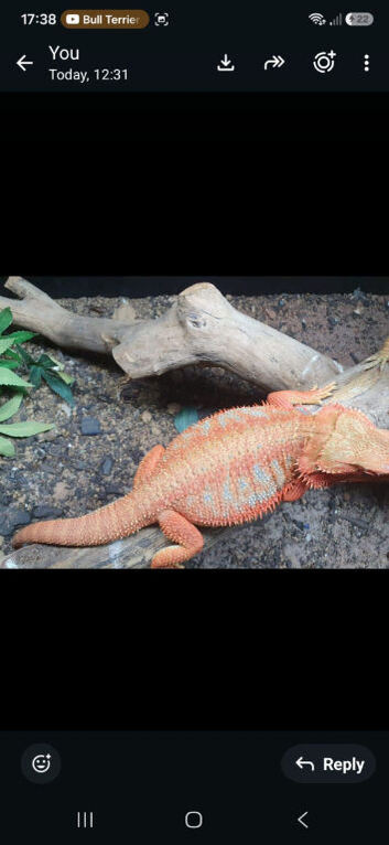 Breeding project male , female