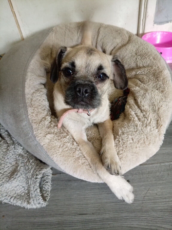 8 month old girl