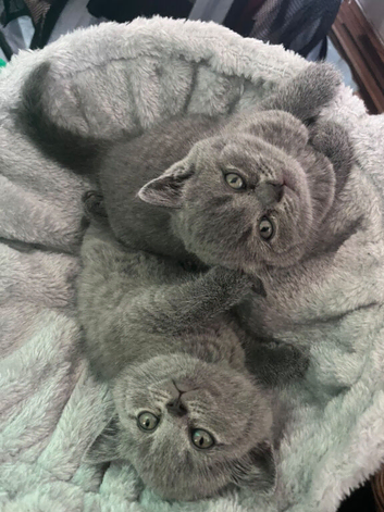Two lovely girls